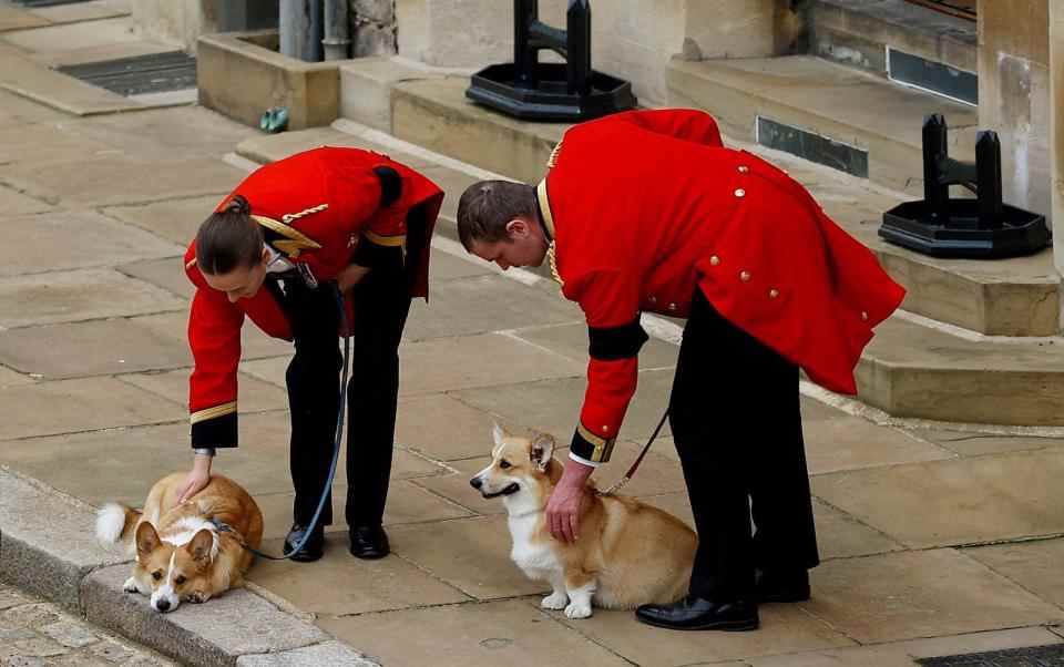 Muick et Sandy, les corgis de feu la reine, sont maintenant pris en charge par le duc et la duchesse d'York - PETER NICHOLLS 