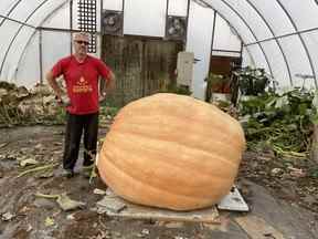 Donald Crews se tient à côté de la citrouille de 2 537 livres qu'il a cultivée à Lloydminster.  Sa citrouille pesait comme la plus lourde jamais enregistrée au Canada et a remporté le prix de la Foire aux citrouilles de Smoky Lake cette année.