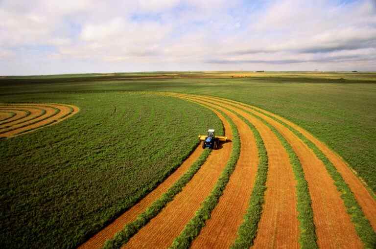 Si c’est de l’agtech, c’est du changement climatique : comment la crise façonne les stratégies des investisseurs