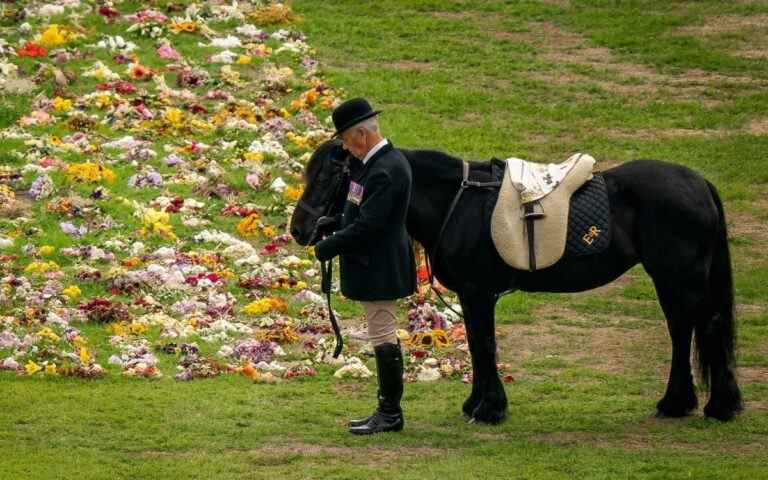 Le palais de Buckingham remercie Emma, ​​le poney de la reine Elizabeth, pour son rôle dans les funérailles avec une nouvelle photo