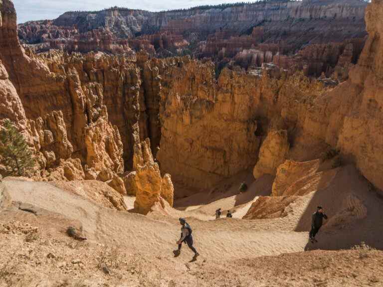 DESERT DREAM : des paysages sans fin dans le sud de l’Utah