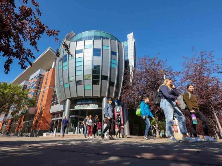 Howard Levitt: Les universités sont des foyers d’intrigues en matière de droit du travail