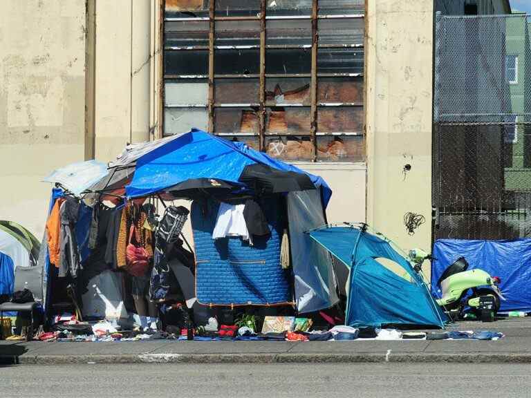 Adam Zivo: les militants du campement harcèlent sans pitié les victimes de crimes de rue