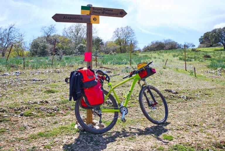 Une femme d’affaires canadienne fait un voyage à l’intérieur alors qu’elle s’attaque au célèbre Camino de Santiago pendant une vague de chaleur brutale