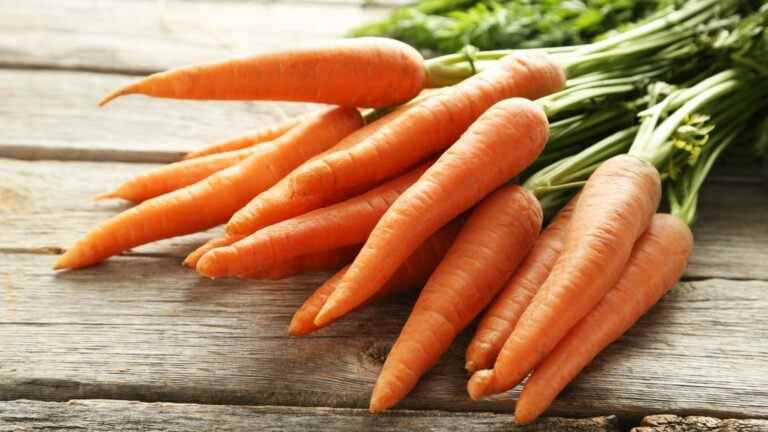 Manger des carottes rendra-t-il vraiment votre peau orange ?  – LifeSavvy