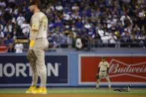 Une oie est assise sur le terrain lors de la huitième manche du deuxième match de la série de la division de la Ligue nationale entre les Dodgers de Los Angeles et les Padres de San Diego au Dodger Stadium le 12 octobre 2022 à Los Angeles, en Californie.  (Photo de Ronald Martinez/Getty Images)