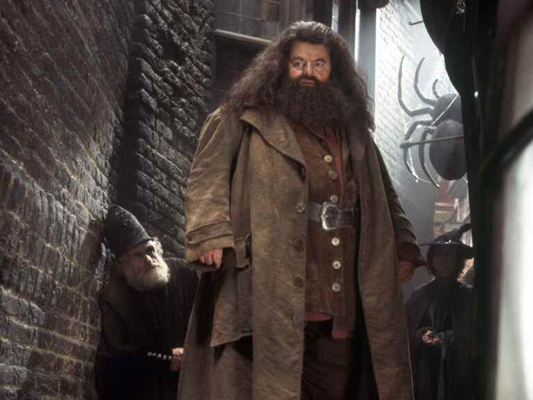 Décès de Robbie Coltrane, acteur de « Harry Potter » et de « Cracker »