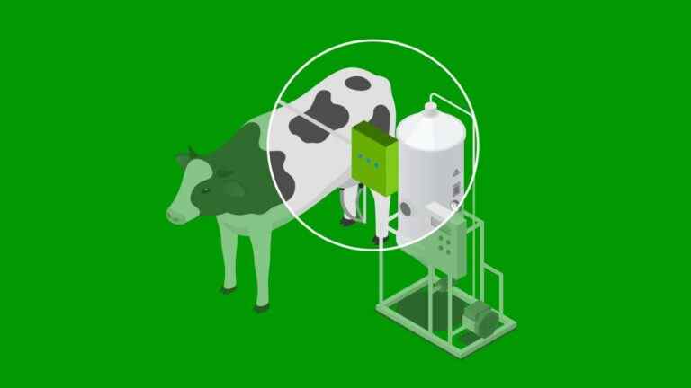 Labby veut rendre le lait plus sain et les vaches plus heureuses avec de meilleurs capteurs