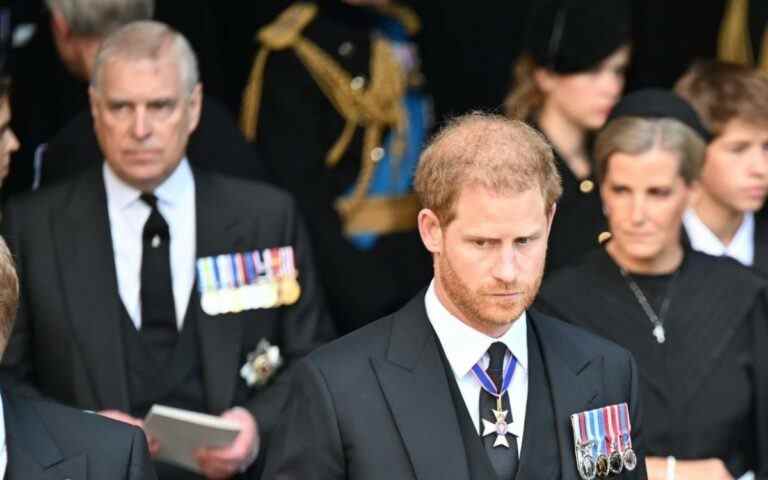 Les princes Harry et Andrew resteront en tant que remplaçants royaux dans le cadre d’un plan visant à étendre leur rôle à d’autres