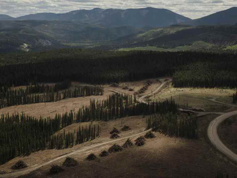 Pour les Albertains qui demandent la fin de l’interdiction des mines de charbon des Rocheuses, Danielle Smith apporte une «petite fenêtre» d’espoir