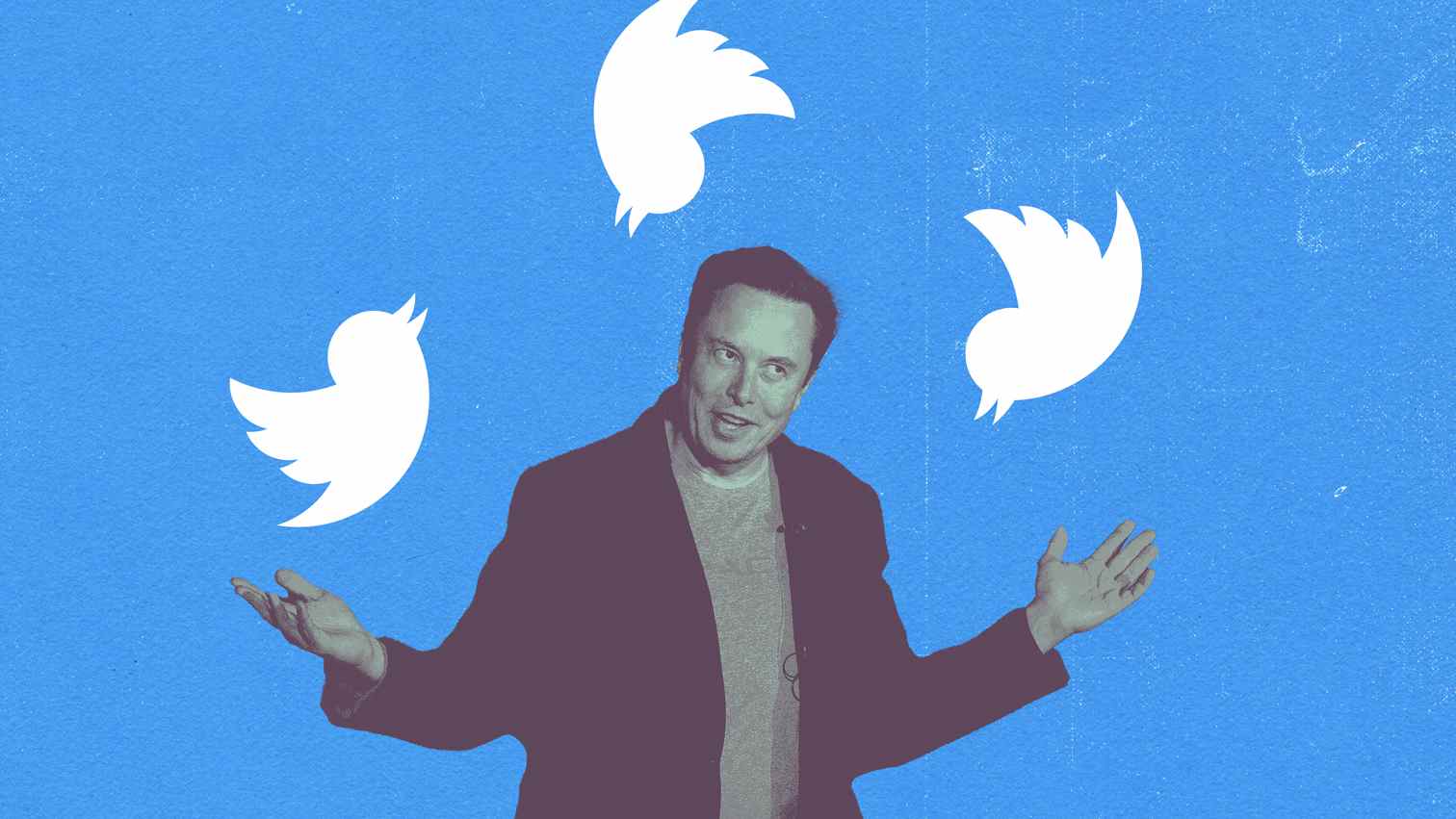 Elon Musk collé avec les logos Twitter