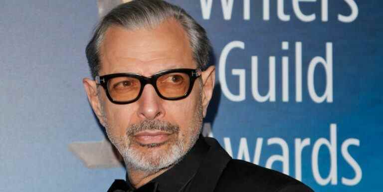 Jeff Goldblum de Marvel pourrait potentiellement rejoindre les films Wicked

