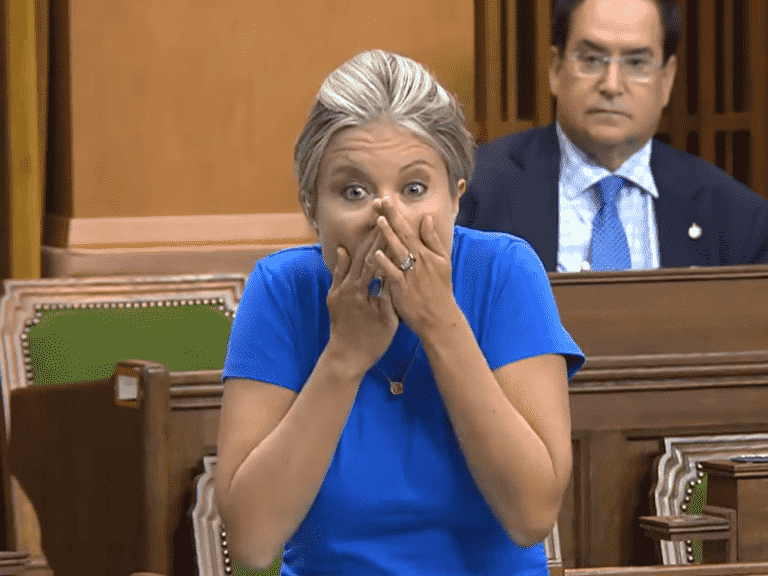 Alerte au langage non parlementaire !  Rempel dit aux libéraux de couper le « woke s—t »