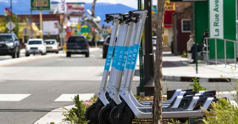 Bird retire ses scooters de «plusieurs dizaines» de villes, mais il ne dira pas lesquelles