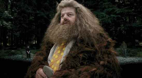 Robbie Coltrane as Rubeus Hagrid in Harry Potter and the Prisoner of Azkaban