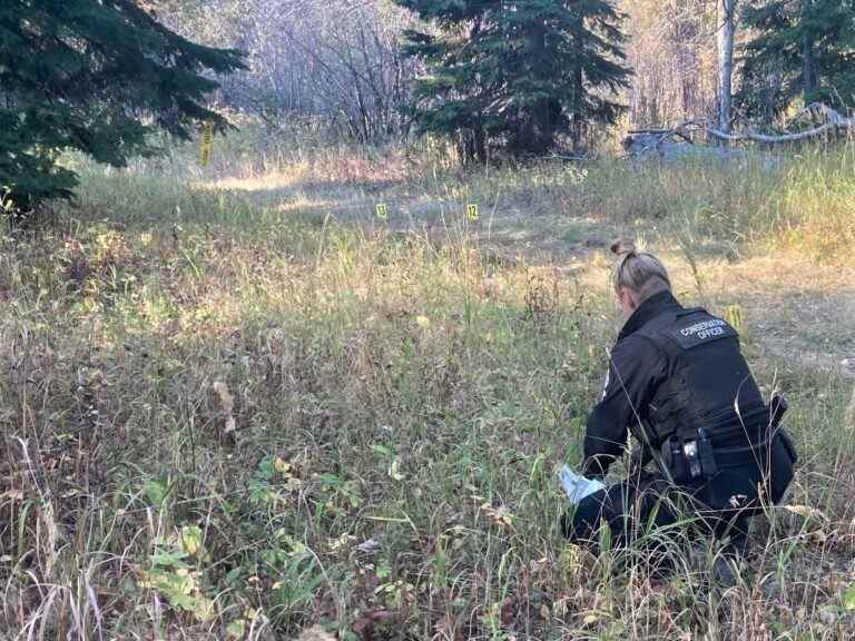 Deux femmes grièvement blessées après qu’un ours noir a attaqué une famille près de Dawson Creek