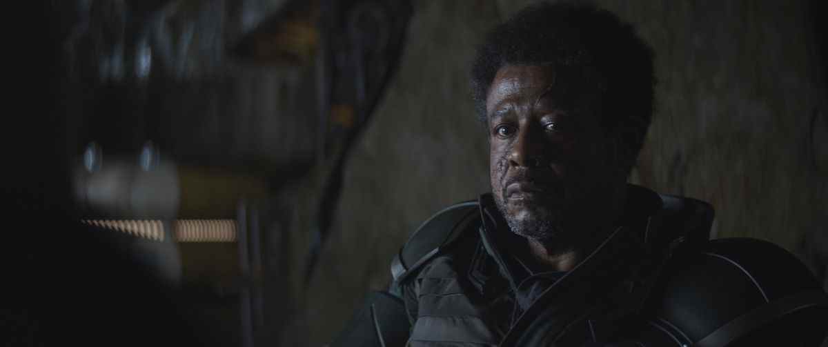 Forest Whitaker semble sceptique dans le rôle de Saw Gerrera à Andor.