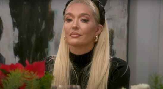 screenshot erika jayne