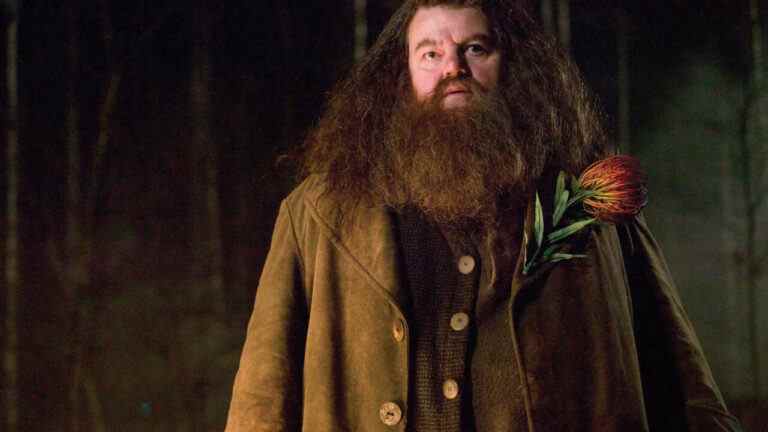 Harry Potter, l'acteur de Bond Robbie Coltrane décède à 72 ans
