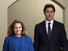 « Si le premier ministre Trudeau et la ministre des Finances Freeland voulaient résoudre (les problèmes de la Défense nationale), ils accorderaient beaucoup plus d'attention personnelle et le feraient », a déclaré le lieutenant-général à la retraite Andrew Leslie.