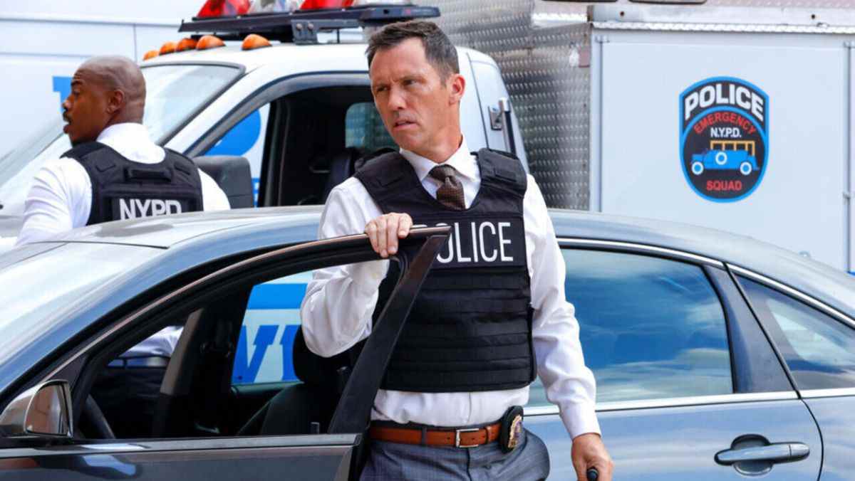 Jeffrey Donovan as Frank Cosgrove on Law & Order