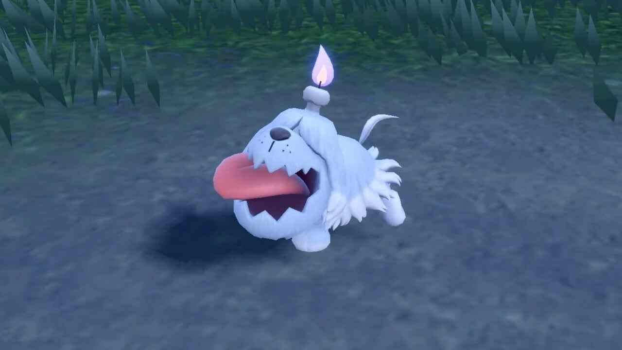 Le plus récent Pokémon de Scarlet & Violet est un petit chiot effrayant
