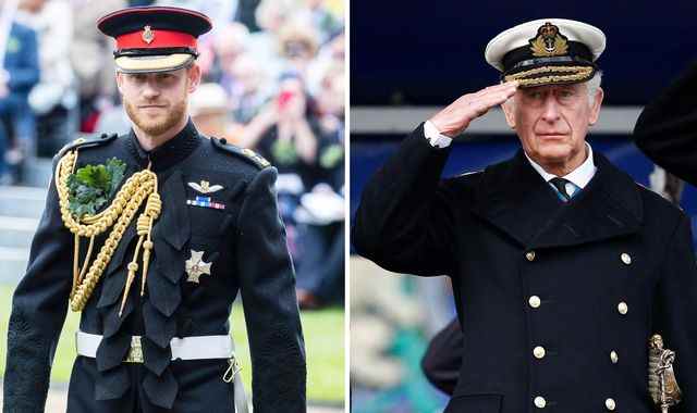 Le roi Charles succèdera au prince Harry en tant que capitaine général des Royal Marines