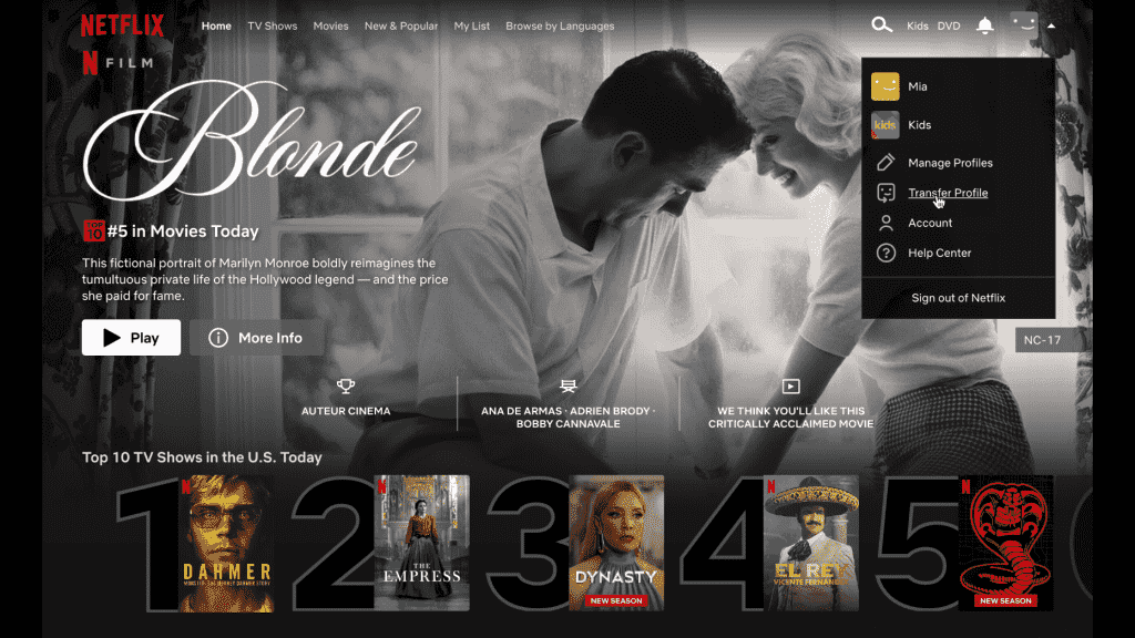 Netflix Transfer Profile Feature Launch