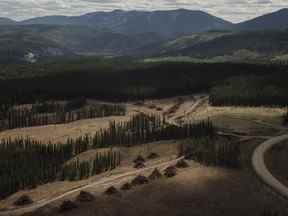 Mardi 1er juin 2021, le mardi 1er juin 2021, près du site proposé de la fosse minière Aries de Ram River Coal Corp., à l'ouest de Rocky Mountain House, en Alberta. commentaires du nouveau premier ministre de la province.