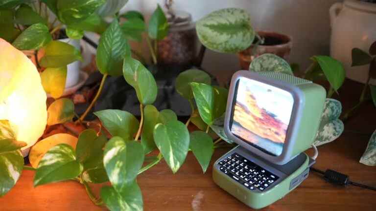 Raspberry Pi coincé dans un mini terminal PC rétro