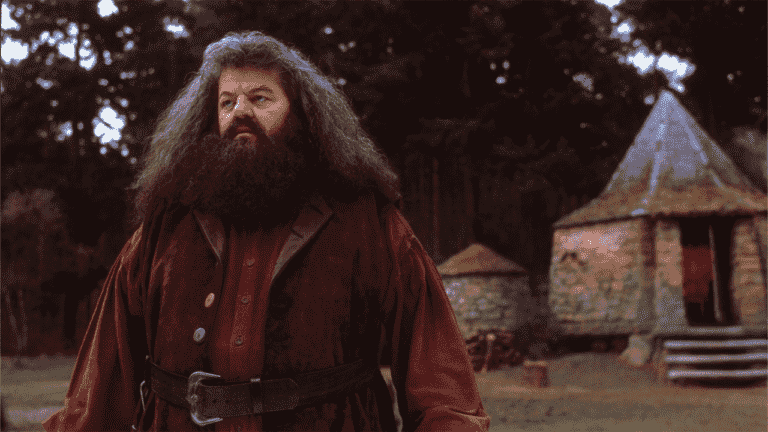 Robbie Coltrane, l'acteur et comédien qui jouait Hagrid dans les films Harry Potter, décède à 72 ans
