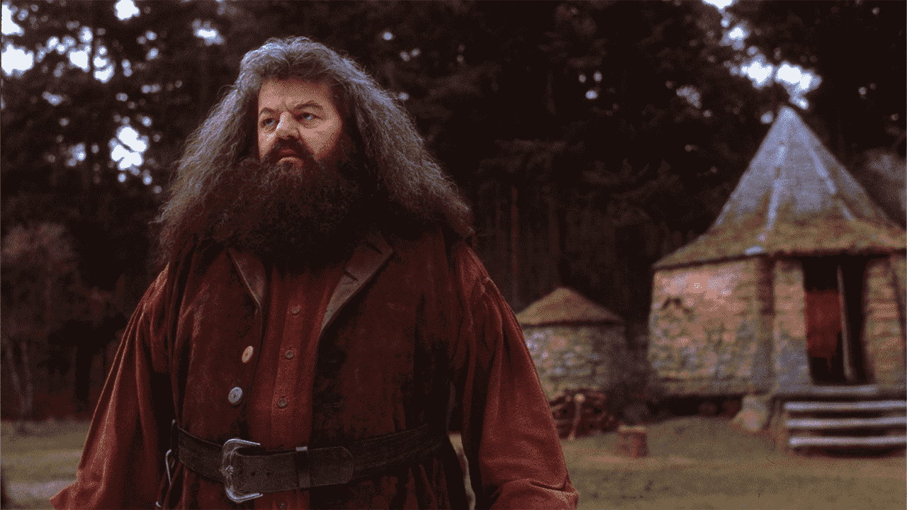 Robbie Coltrane, l'acteur et comédien qui jouait Hagrid dans les films Harry Potter, décède à 72 ans
