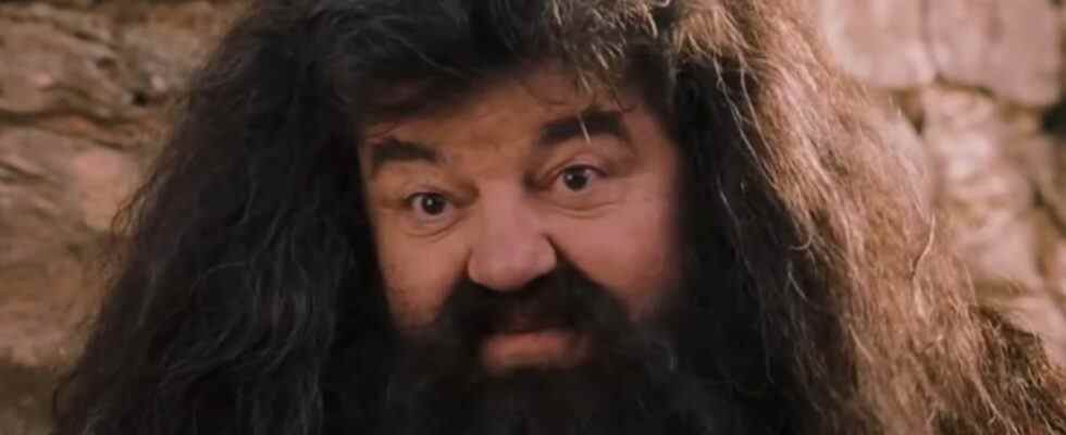 Robbie Coltrane smiles knowingly as Hagrid in Harry Potter and the Sorcerer