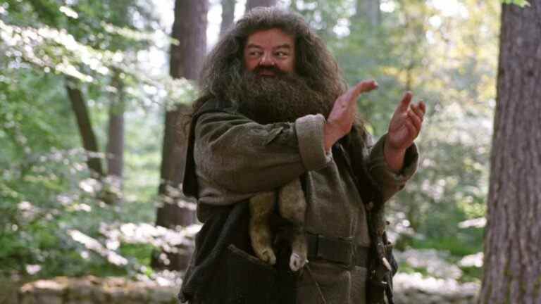 Robbie Coltrane, star d’Harry Potter, décède à 72 ans