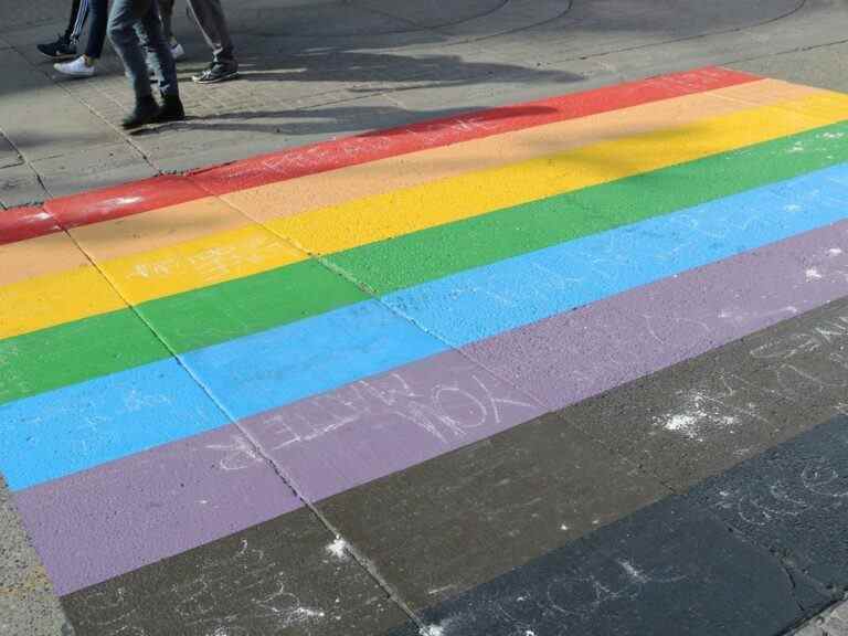 Tête de cochon coupée laissée sur le passage pour piétons Pride à l’école en Alberta