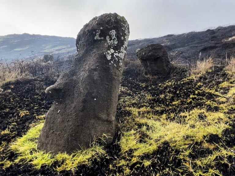 Un incendie endommage certaines des célèbres statues « moai » de l’île de Pâques