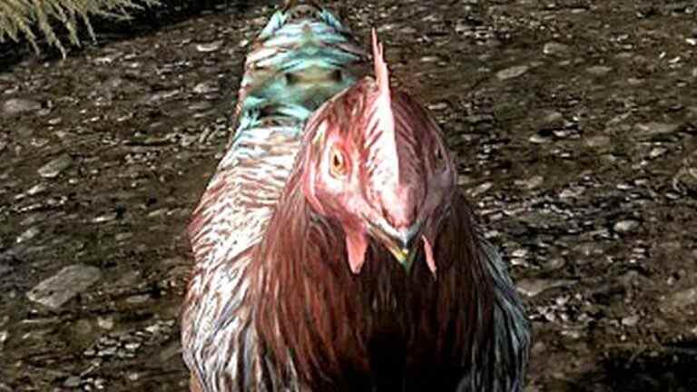 Un joueur de Skyrim devient un meurtrier de poulet en série après avoir tenté un fromage d’illusion infinie