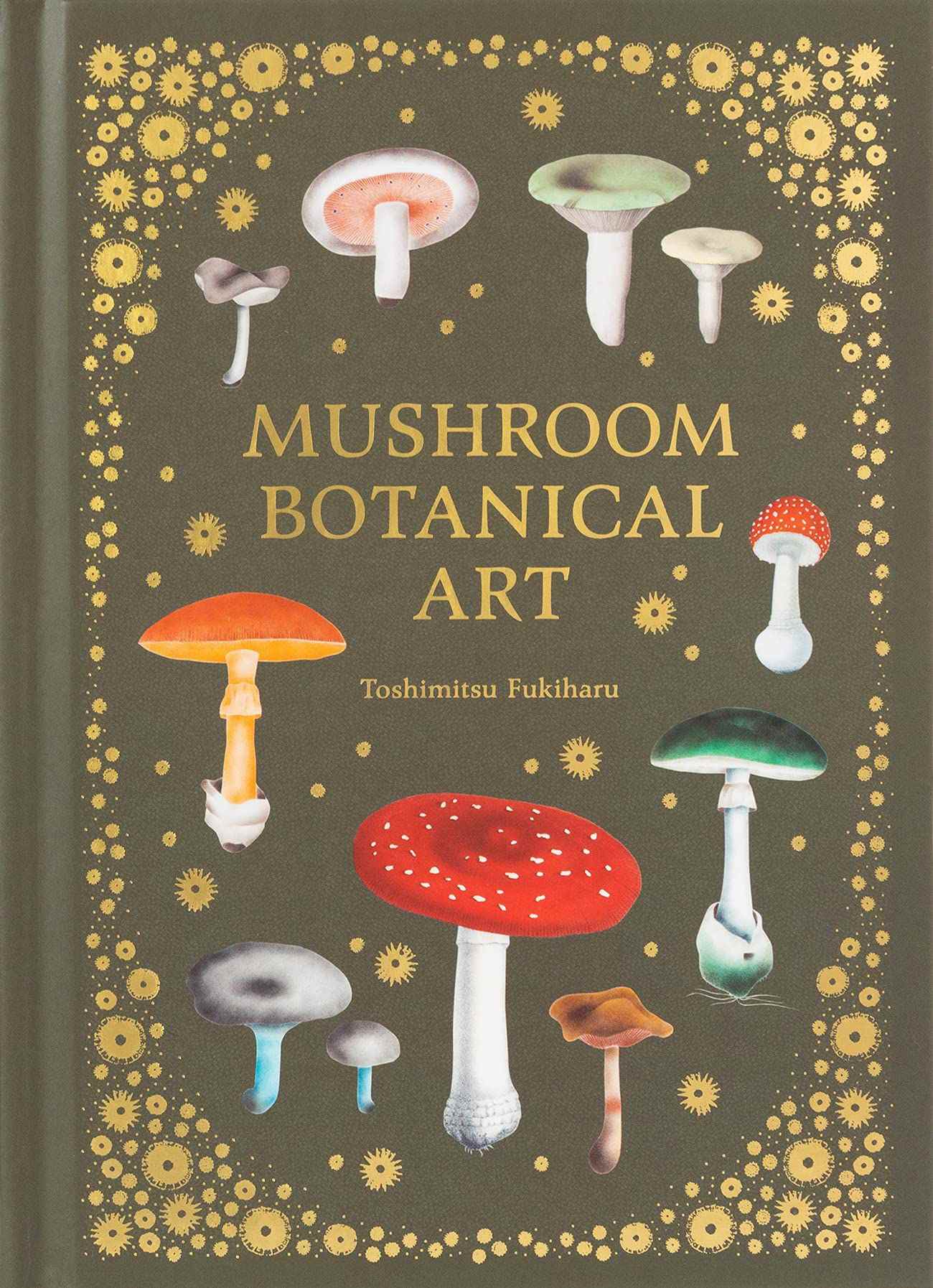 Couverture du livre Art botanique des champignons