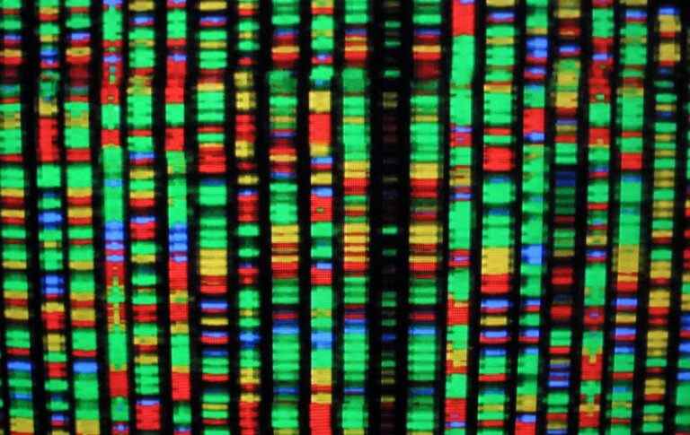 Stability AI soutient les efforts visant à apporter l’apprentissage automatique au biomédical