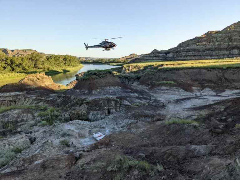 Un pont aérien par hélicoptère bénévole préserve la découverte d’un fossile en Alberta