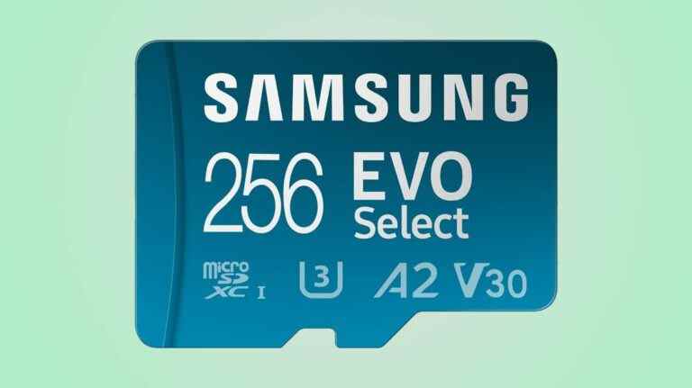 La microSD de 256 Go de Samsung est parfaite pour vos appareils à 24 $