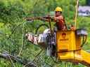 Des travailleurs d'Hydro s'occupaient de brancher des arbres sur des lignes électriques dans la région de Morin-Heights le 24 mai 2022.