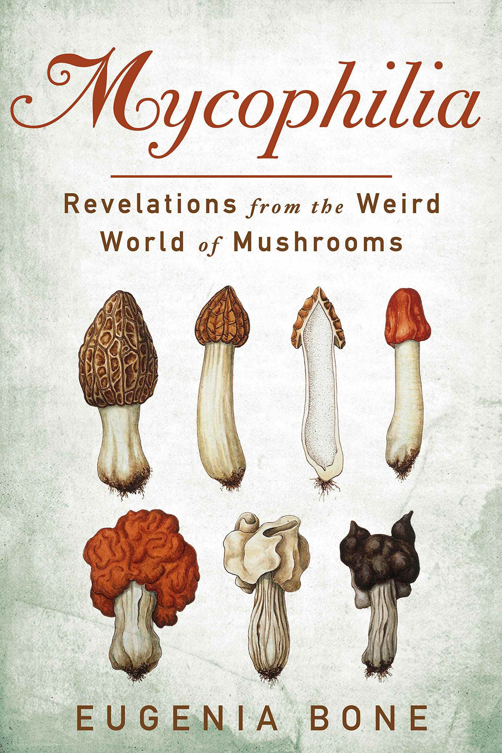 Couverture Mycophilie : Révélations du monde étrange des champignons