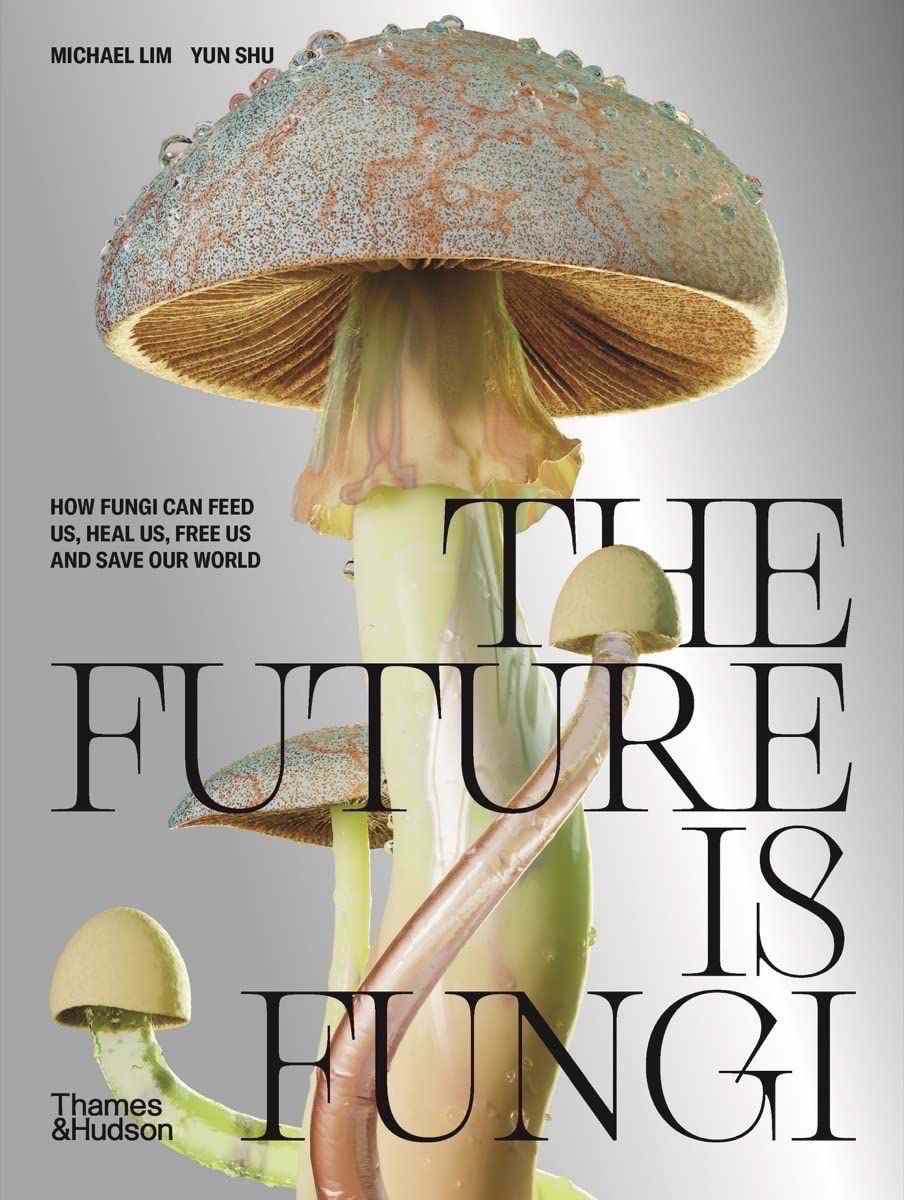 couverture du livre l'avenir est aux champignons