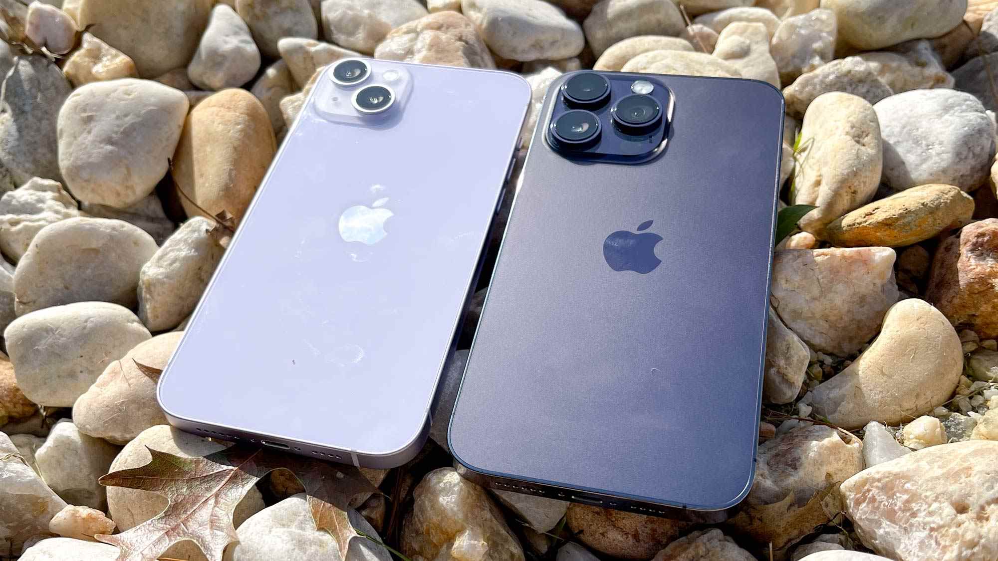 iPhone 14 Plus contre iPhone 14 Pro Max