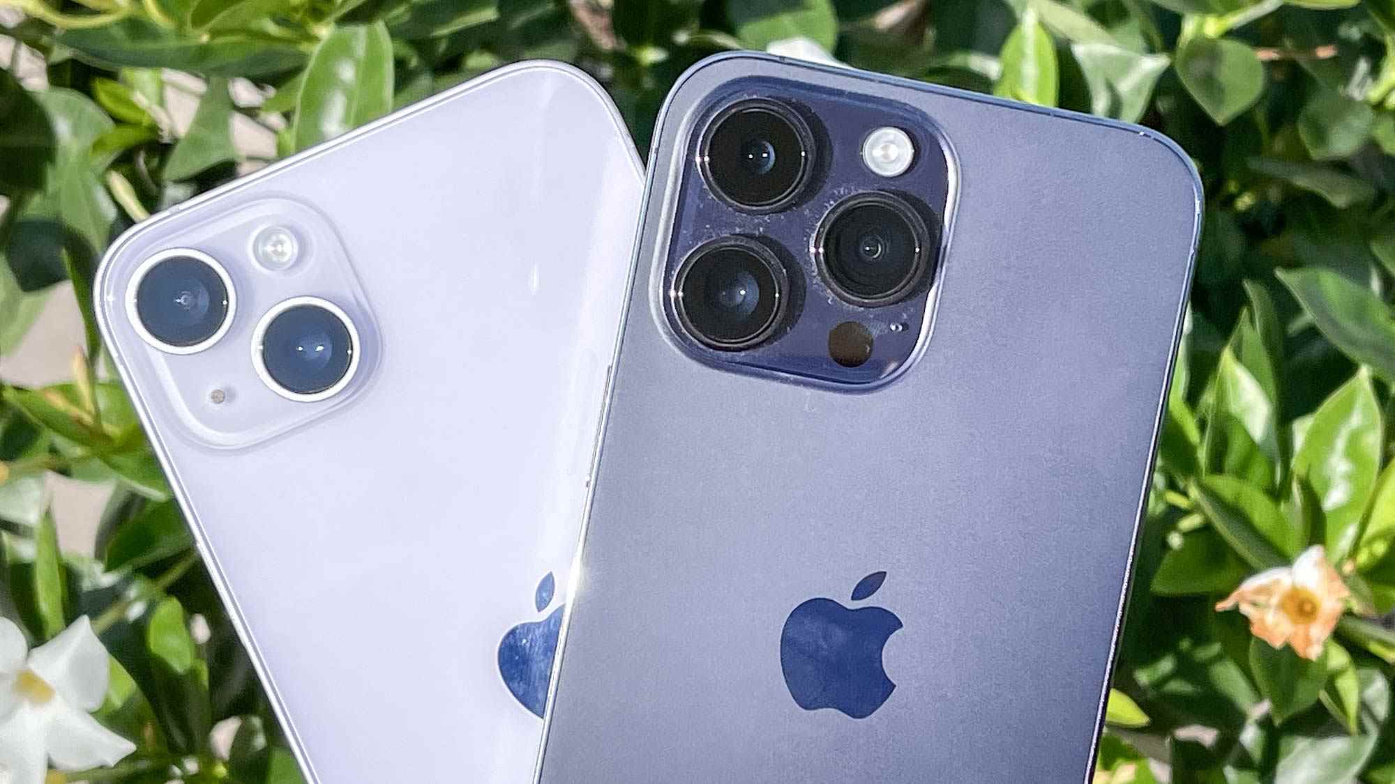 iPhone 14 Plus contre iPhone 14 Pro Max