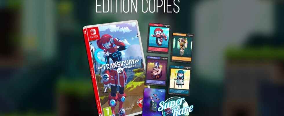 Transiruby obtient une version physique sur Switch