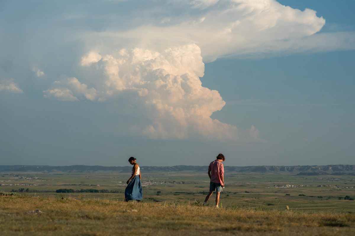 Lee (Timothée Chalamet) et Maren (Taylor Russell) se tiennent dans un vaste champ vert sous un large ciel bleu clair rempli de nuages ​​blancs moelleux dans Bones and All