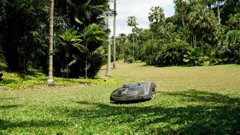 La tonte de l’herbe fait peau neuve avec l’IdO comme jamais auparavant