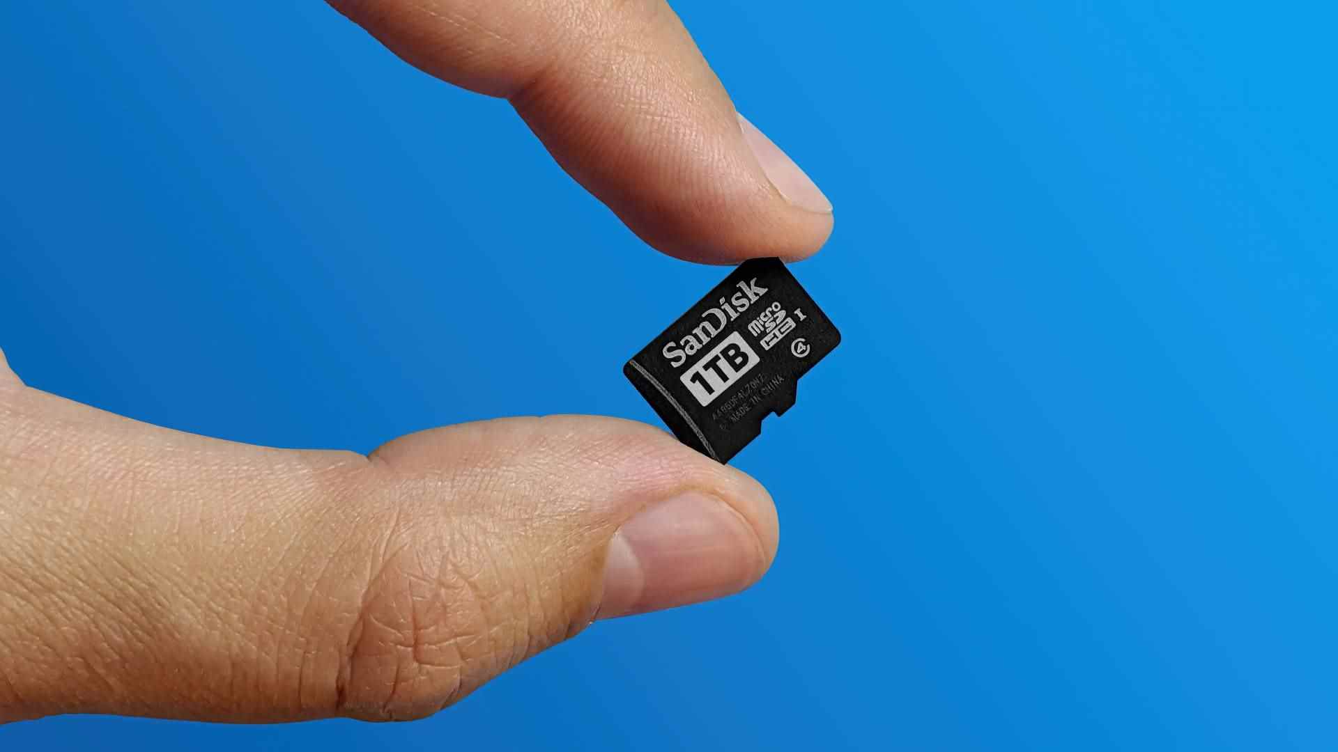 Carte Micro SD